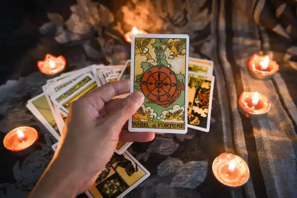 tarot cards Alpha